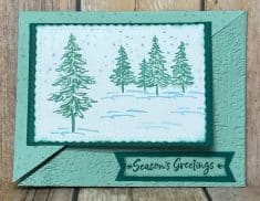 In the Pines created by Kay Capps