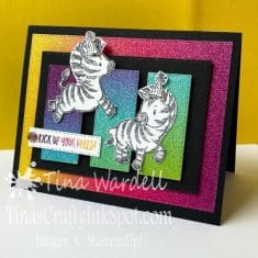 SUDSOL Articles | Zany Zebras Class Outline