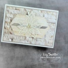 The Spot Challenge 125 Sketch – Poinsettia Petals – Old Stables Crafts