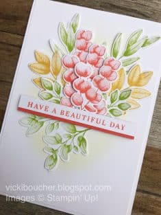 Vicki Boucher Stampin’ Up! Demonstrator Australia