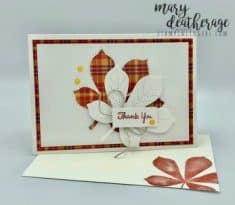 Stampin’ Up! Plaid Love of Leaves for the Happy Inkin’ Thursday Blog Hop | Stamps – n – Li ...