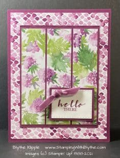 Berry Blessings / Sweet Strawberry Stamp Sets / Berry Delightful DSP