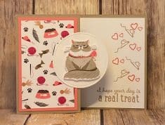 SUDSOL Articles | Pampered Pets Class Outline