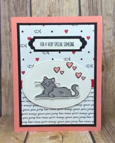 SUDSOL Articles | Pampered Pets Class Outline