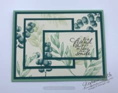 Triple Time Closeups – Dazzled By Stamping