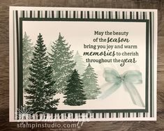 Evergreen Elegance 15482 by Tina Rappe