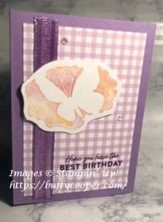 Amazing Silhouettes | Stamping with Buffy