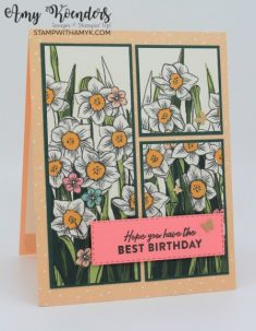 Stampin’ Up! Friendly Hello & Daffodil Afternoon Birthday Card – Sneak Peeks! – Stamp With Amy K