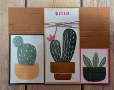 Cactus Cuties created by Carol Siers