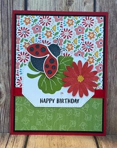 Hello Ladybug created by Bobbie Ganley