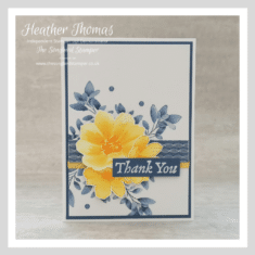 Solidarity with Ukraine