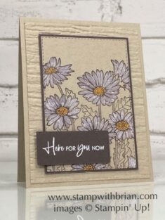 Daisy Garden # 15478 by stampwithbrian.com
