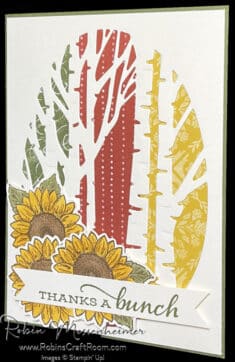 Aspen Trees Meet Sunflowers