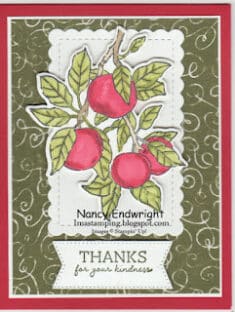 Nancy Endwright – Imastamping: Kylie’s Demonstrator Training Blog Hop – Octobe ...
