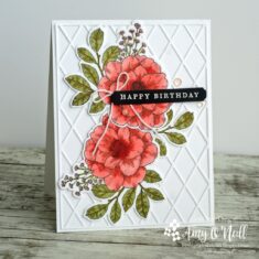 Cottage Rose Got Inky #16351 by Amy O’Neill