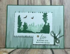 Picturesque created by Blythe Klipple for 2023 January – April Mini Catalog Swap