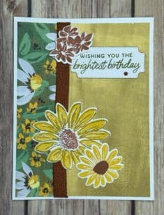 Cheerful Daisies created by Nola Burkhard for the 2023-2024 Catalog New Stamp Set Swap