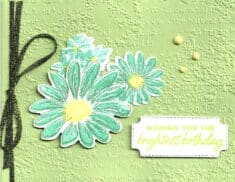 Color Challenge Daisies