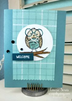 CASE-ing Tuesday #419 – Bird’s Eye View Stamp Set | Scraps By Sissy