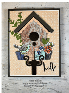 Country Birdhouse by Karen Hallam