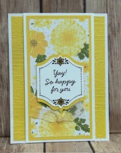 Bright Borders created by Cathy Hansen for the 2025 Jan – Apr Mini Catalog New Stamp Set Swap